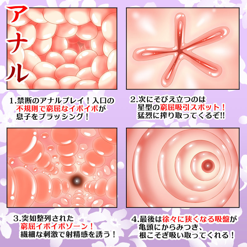 ���A���{�f�B�@�i�i�t�k�h�`�j