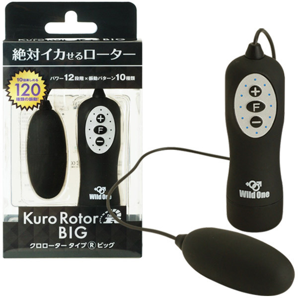 �N�����[�^�[�@�^�C�v�q�@�a�h�f