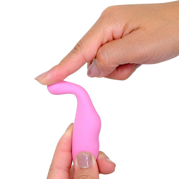 �v�������@�i�s���N�j