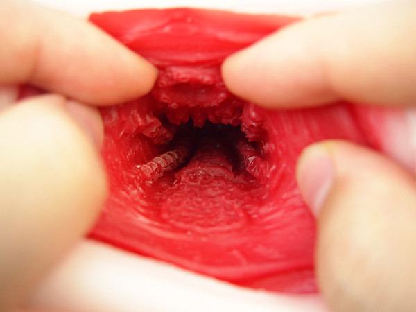 床オナ式名器 (ぴったりフィット ノーマル)