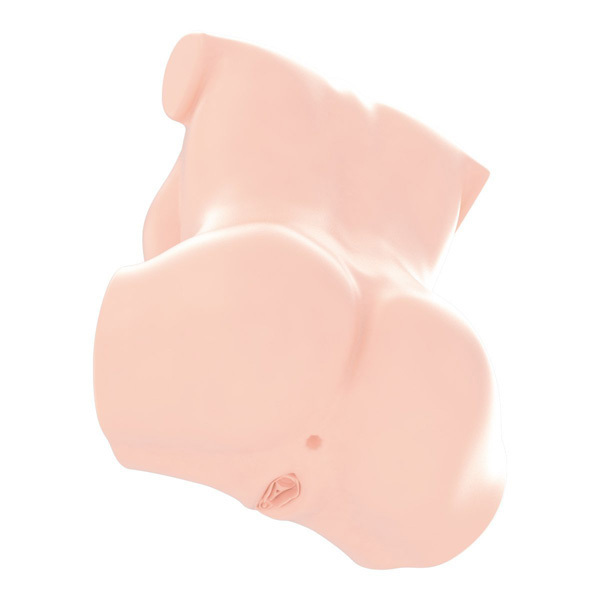 ���A���{�f�B�{�R�c�{�[���V�X�e���@�i�c�J�b�v�o����j