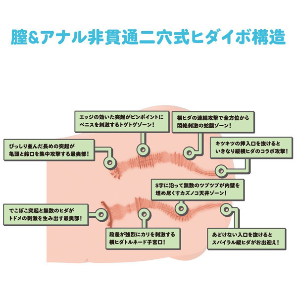 ���A���{�f�B�{�R�c�{�[���V�X�e���@�i��؂��G�؂Ђȁj