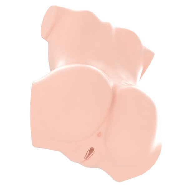 ���A���{�f�B�{�R�c�{�[���V�X�e���@�i��؂��G�؂Ђȁj