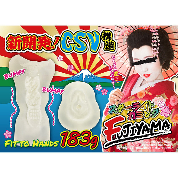 �X�^�[���C�g�J�~���O�@�e�t�i�h�x�`�l�`