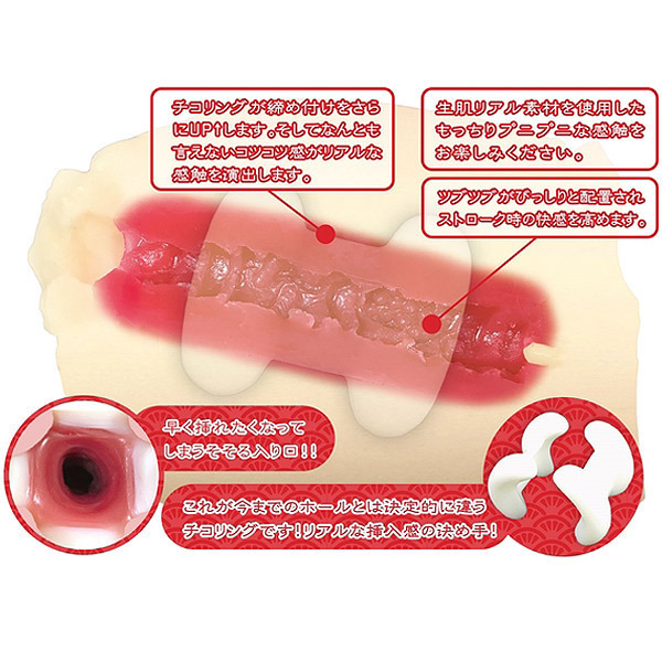 �_�̐K�@��