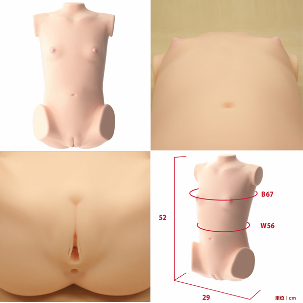 ���{�����A���{�f�B�{�R�c�{�[���V�X�e���@�i�����ς��H�������j