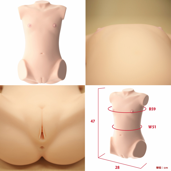 ���{�����A���{�f�B�{�R�c�{�[���V�X�e���@�i��؂��G�؂Ђȁj