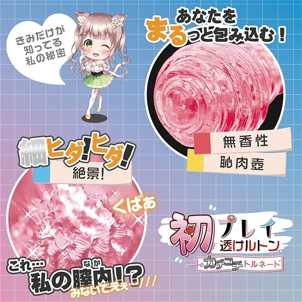 ���v���C�������g���@�i�J�`�R�`�g���l�[�h�j