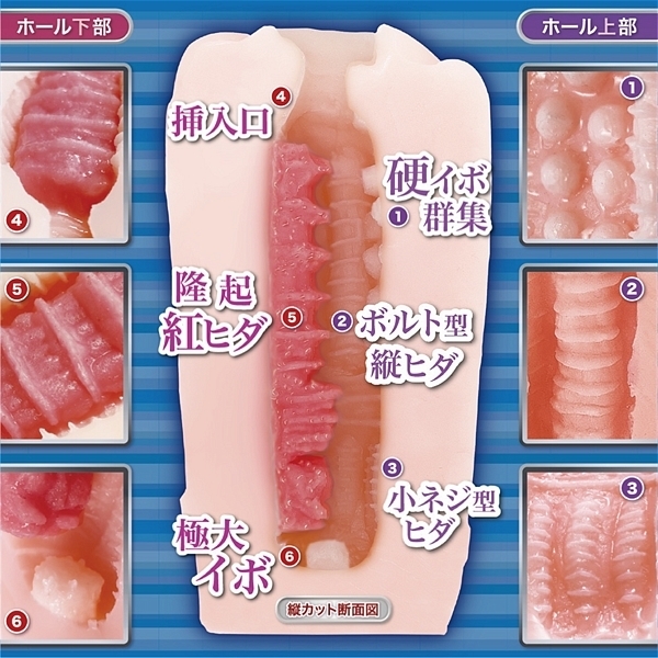 �g�������@�t�B�����h�X�^���s�[�h