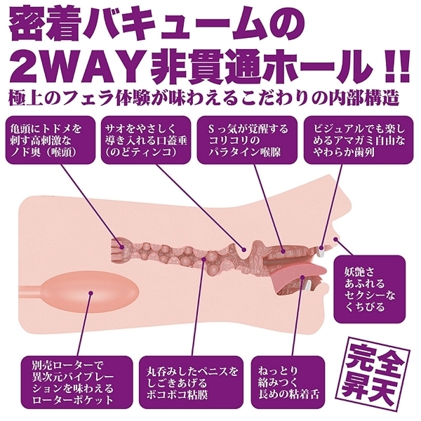 �_�t�F���@�N���V�b�N�@�i�i�t�k�h�`�@�蓮�j