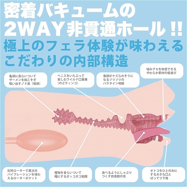 �_�t�F���@�N���V�b�N�@�Ό���]�i�蓮�j