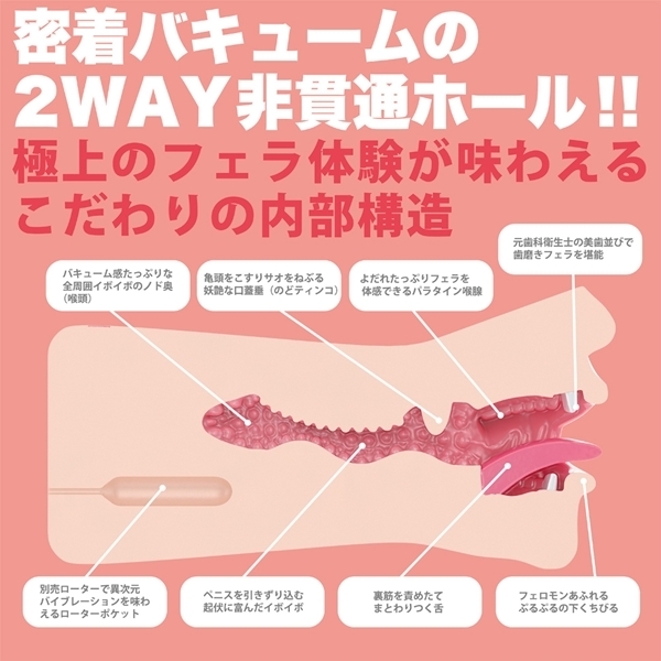 �_�t�F���@�N���V�b�N�@�i�k���A���[�@�蓮�j