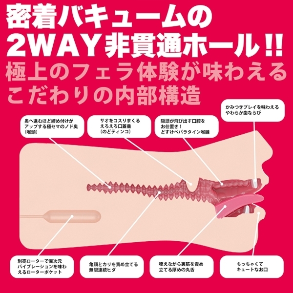 �_�t�F���@�N���V�b�N�@�i�V��������@�蓮�j