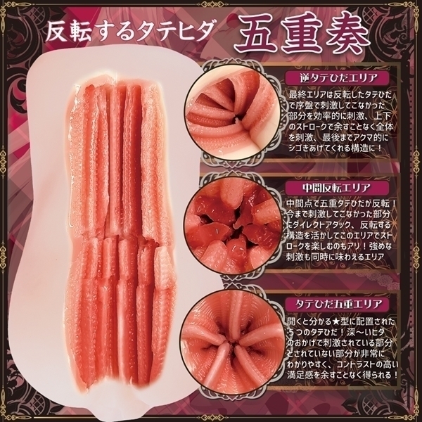 �A�N�}���܂̔��]�^�e�Ђ��܏d�t