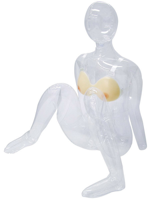 �u���W���[�^���u�{�f�B�q�i��p�o�X�g�@���ς�