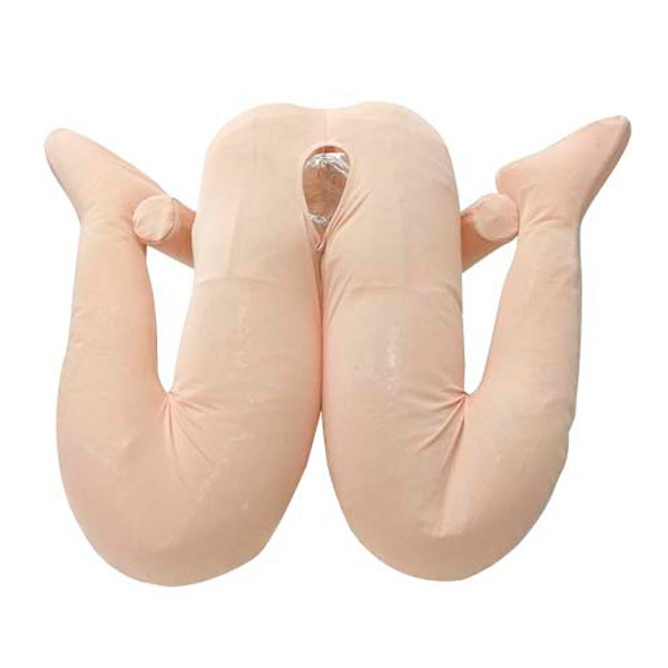 �A�L�̏_��