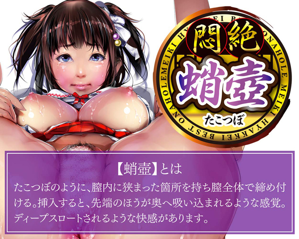 ����S�i�@�i����j