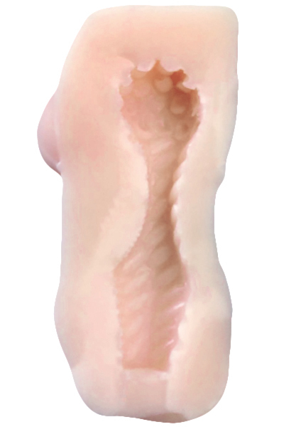 �Ö����w���@�{���i���j�̏ꍇ