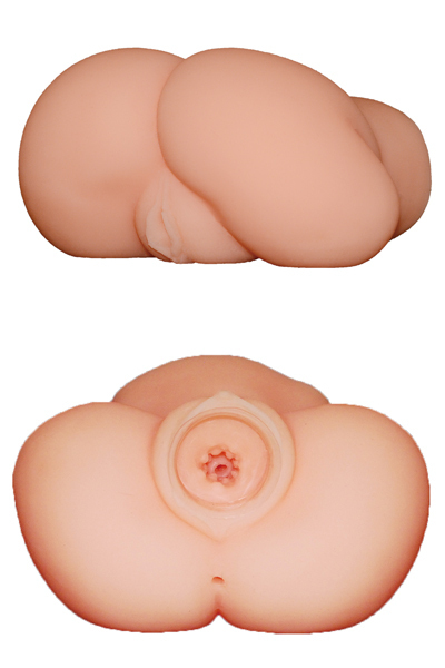 �Ö����w���@�{���ւ̏ꍇ�@�ւ̑�D���ȑ̈ʂc�w�@�i�ʏ�Łj