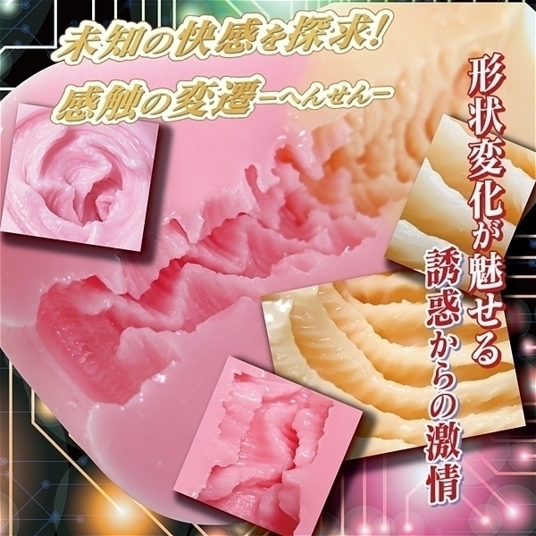 ���@���A�u���T�C�N����