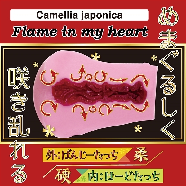 �ցi�s�r�t�a�`�j�h�j