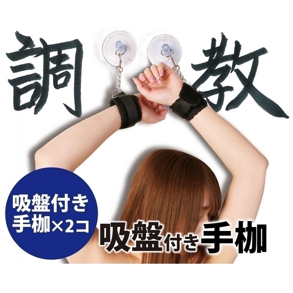 �y�V�R�O�~�����ʌ���z�����@�i�z�Օt����g�j������l�l�P�_���聄