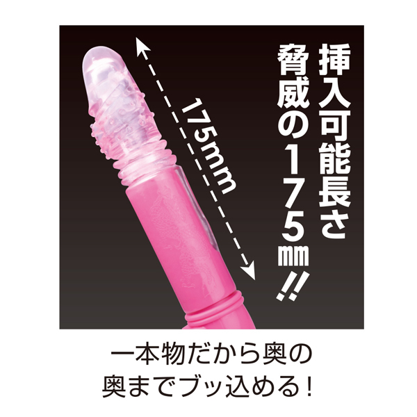 �y�P�V�P�O�~�����ʌ���z�w�������r�����������i�[�m�X�g���C�N�j�@�s���N������l�l�P�_���聄