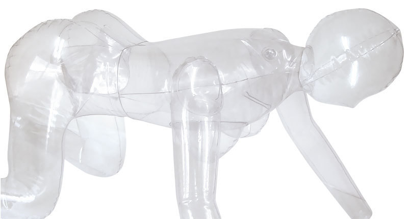 �y�P�W�R�O�~�����ʌ���z�k�n�u�d�@�a�n�c�x�@�q�d�m�i���u�{�f�B�@�����j������l�l�P�_���聄