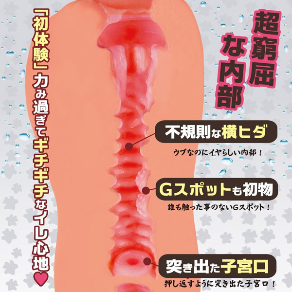 �����̃~�c�c�{�@�i�n�[�h�j