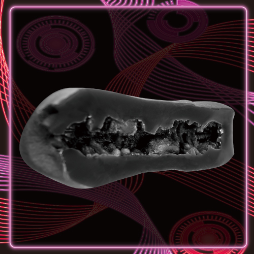 �o�q�d�l�h�t�l�@�r�h�|�w�@�a�d�r�s�i�v���~�A���V�b�N�X�@�x�X�g�j