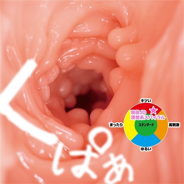 �����i�c�@�i���^�n�X�p�C�����j