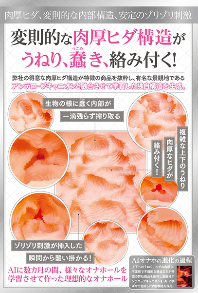 �`�h�u�i�A�C���j�@�m�n�D�O�W