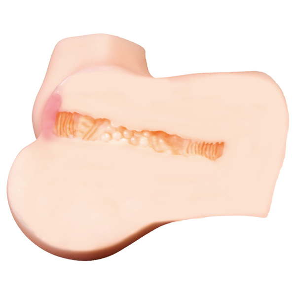 �V�g�̃V���[�c�@�Ղ肯�΁[����