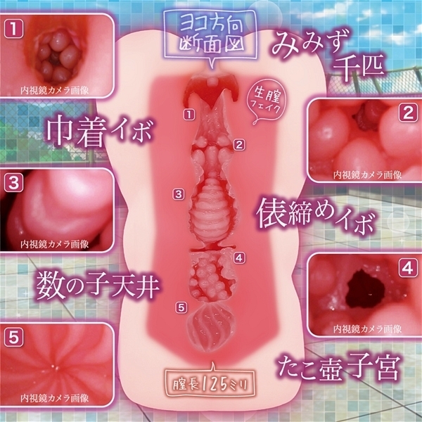 �v�t���C�m�Z���g