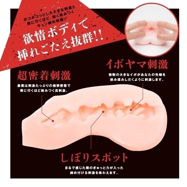 �Ζ��E�䂫�����@�����̑Ζ��E�z�[��