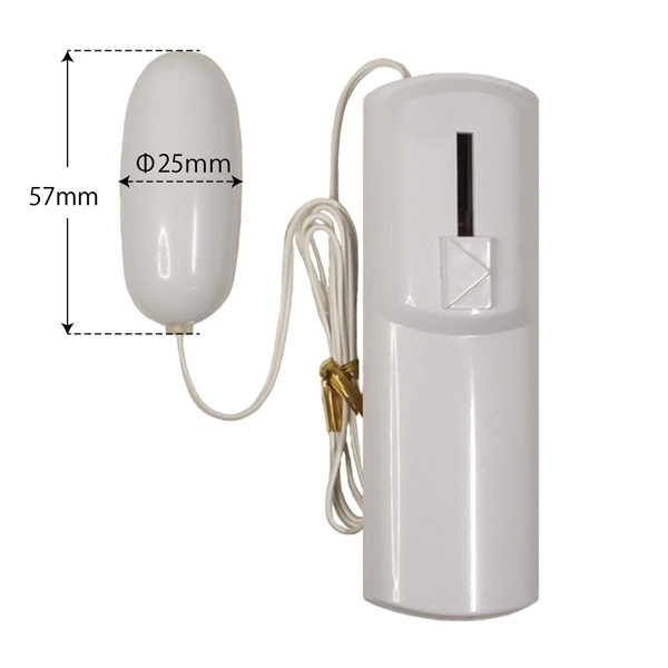 ���u���[�G�b�O���[�^�[�@�z���C�g