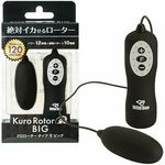 �N�����[�^�[�@�^�C�v�q�@�a�h�f