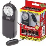 �f���W���[���[�^�[�@�i�u���b�N�j