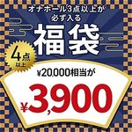 �y���S���ʌ���z�T���v���i����I�I�i�z�[�����J�^���܁@�i����l�l�P�_����j